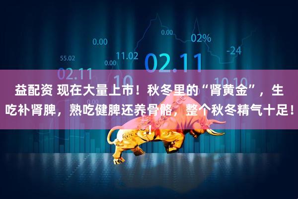 益配资 现在大量上市！秋冬里的“肾黄金”，生吃补肾脾，熟吃健脾还养骨骼，整个秋冬精气十足！